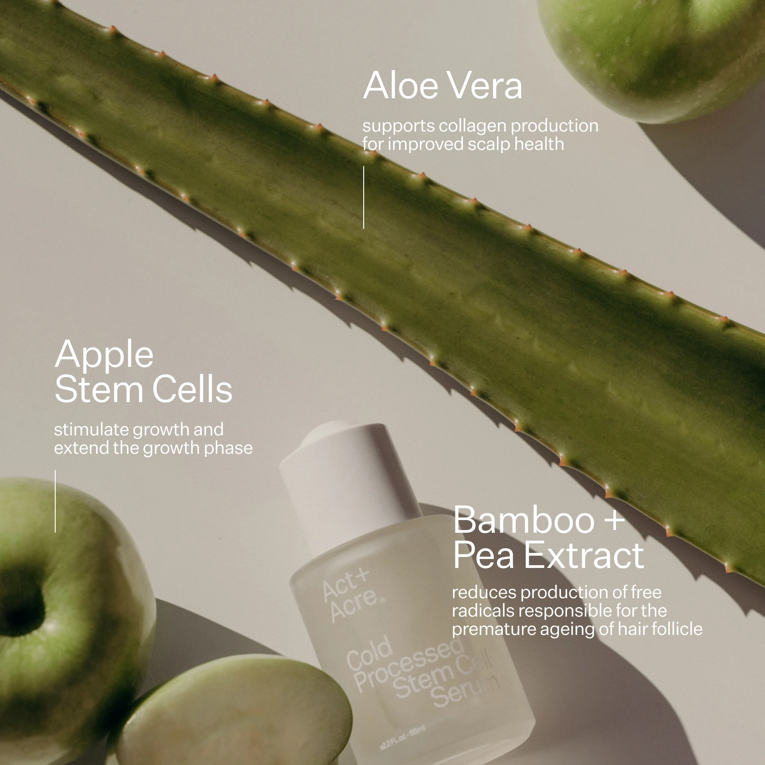 Stem Cell Scalp Serum - Image 5